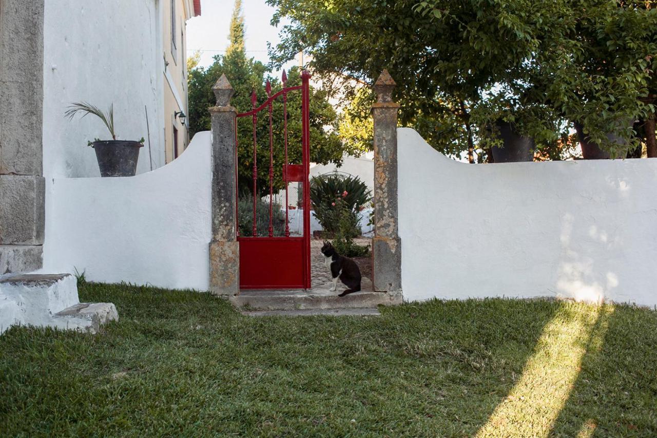 Casa Das Alfazemas Com Piscina, Jardim E Snooker Adao Lobo المظهر الخارجي الصورة